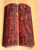 Cocobolo 222254