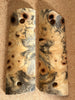 Buckeye Burl BEM277289