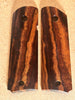 Desert Ironwood DI2715307