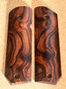 Desert Ironwood DI2715328