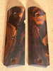 Desert Ironwood DI299747