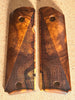 Desert Ironwood DI299748