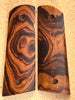 Desert Ironwood DIM277253