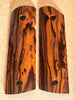 Desert Ironwood DIM277286