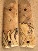 Spalted Maple SM2715191