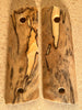 Spalted Maple SMM277275