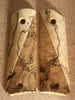 Spalted Tamarind ST299746