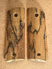 Spalted Tamarind ST33294